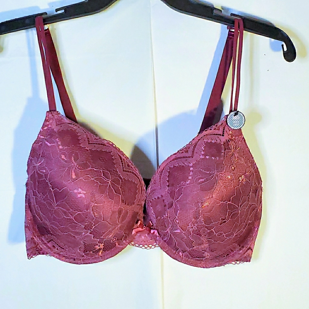 NWT Sexy Body Frosting Bra Bugundy 38D